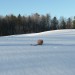 braidballs in snow15 thumbnail